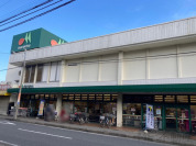 マルエツ上本郷店