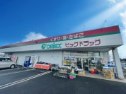 ビッグドラッグ　自由ヶ丘店