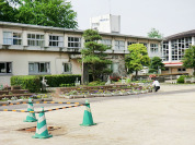 中央小学校