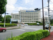 国立がん研究センター東病院