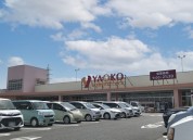 ヤオコー　成田はなのき台店