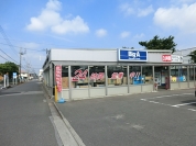 ビッグ・エー　北守谷店