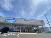 ウェルシア　牛久上柏田店